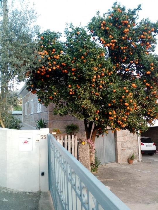 Vivenda Mendes Villa Outeiro  Dış mekan fotoğraf